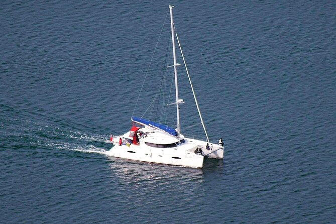 Snorkeling with Orcas In Norway, 4 days All-Inclusive expedition - Why the herring season matters