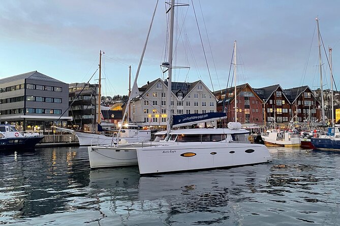 Snorkeling with Orcas In Norway, 4 days All-Inclusive expedition - More than whale watching