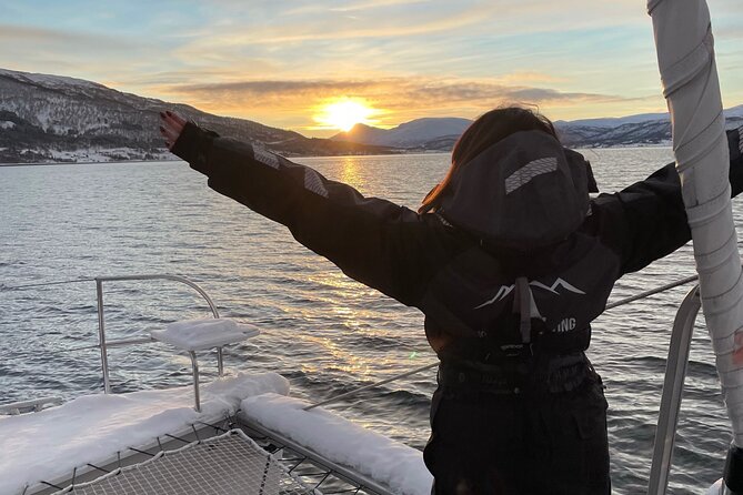 Snorkeling with Orcas In Norway, 4 days All-Inclusive expedition - Safety is central, not decorative