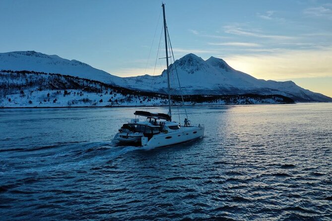 Snorkeling with Orcas In Norway, 4 days All-Inclusive expedition - Weather can rewrite the itinerary