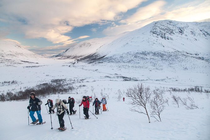 Snowshoe Hill Hike in Tromsø - Key points before you book