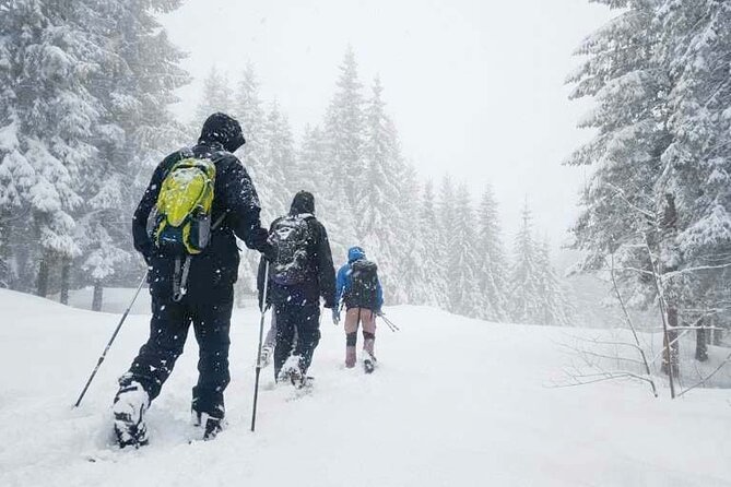 Snowshoe Tour in Winter Wonderland - Oslo - Key points to know before you book