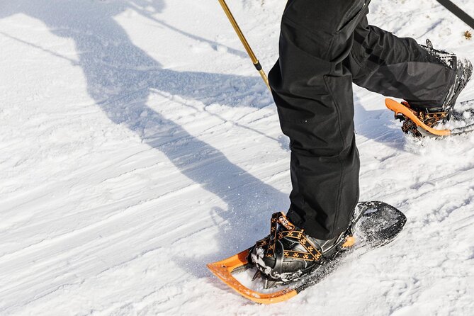 Snowshoe Tour in Winter Wonderland - Oslo - From central Oslo to Frognerseteren by metro