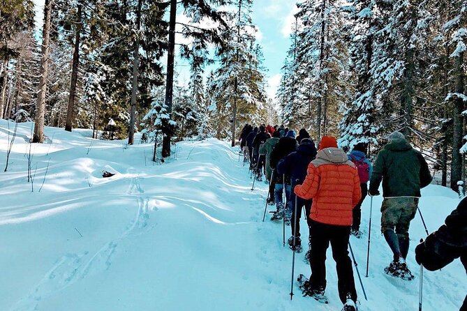 Snowshoe Tour in Winter Wonderland - Oslo - Weather, snow conditions, and the backup plan