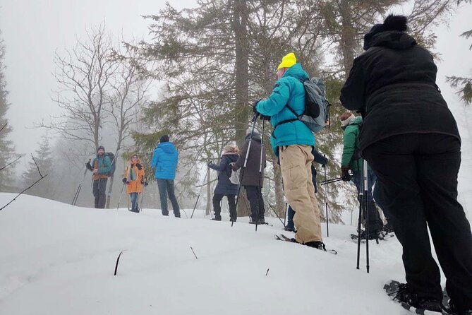 Snowshoe Tour in Winter Wonderland - Oslo - What to wear and bring for the 3.5-hour outing