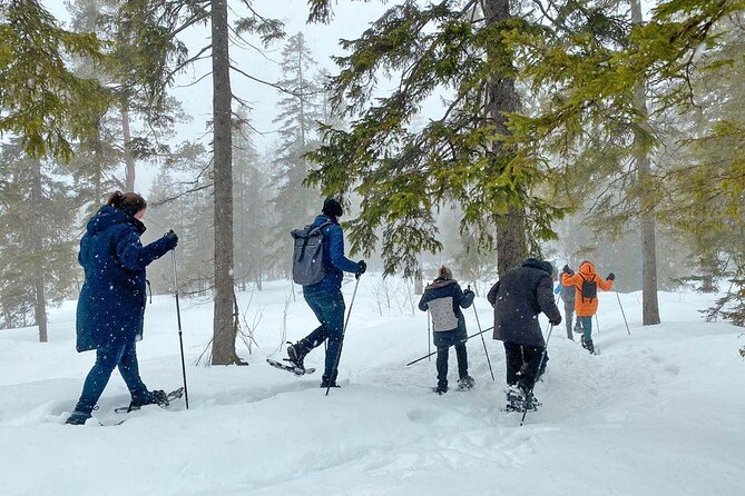 Snowshoe Tour in Winter Wonderland - Oslo - Is $106.65 a fair price?
