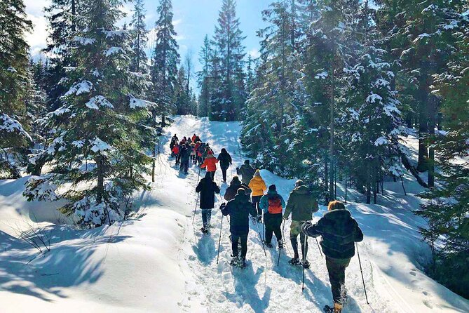 Snowshoe Tour in Winter Wonderland - Oslo - Who will enjoy this Oslo winter outing?