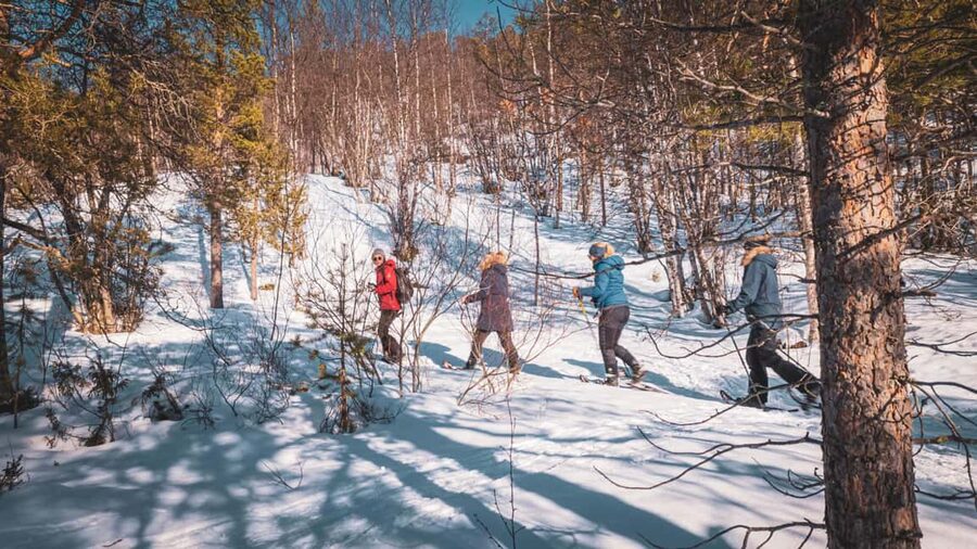 Snowshoeing Adventure to the Enchanting Frozen Waterfall - What the Four Hours Include