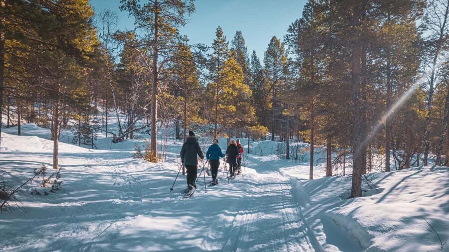 Snowshoeing Adventure to the Enchanting Frozen Waterfall - Is $187 a Fair Price?