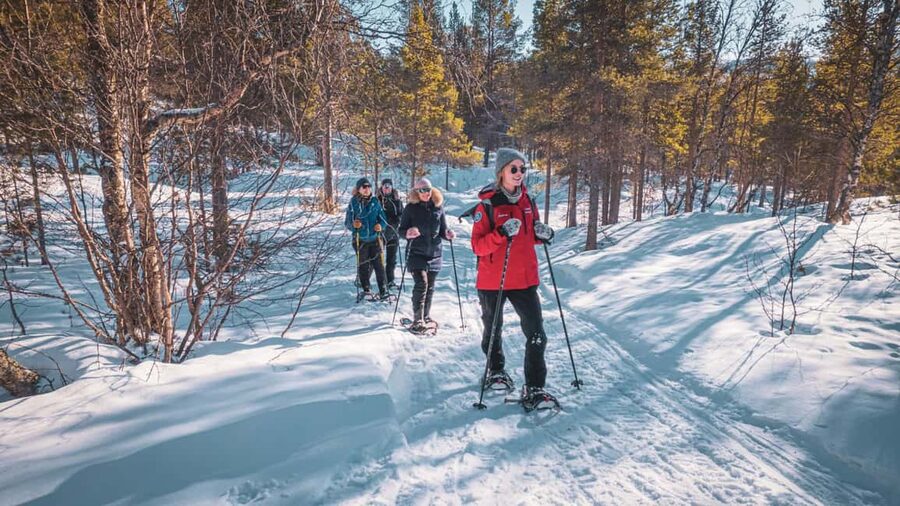 Snowshoeing Adventure to the Enchanting Frozen Waterfall - Who Will Enjoy This Most?