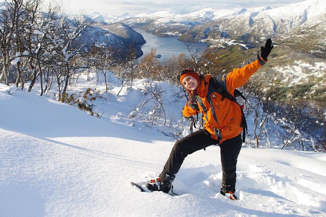 Snowshoeing - Winter Day Trip in Bodo, Northern Norway - Key points at a glance