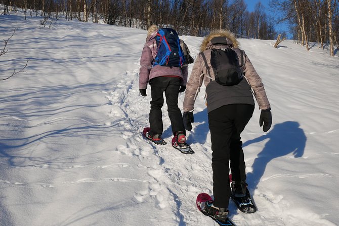 Snowshoeing With A View - What the $166.14 price really covers