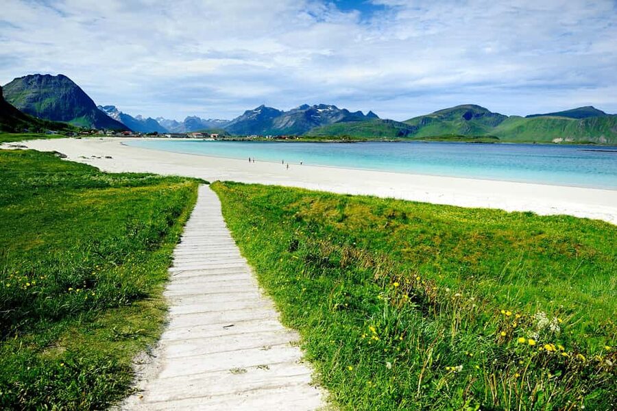Special Summer Cruise Guided Tour of Lofoten - Value, flexibility, and who should book