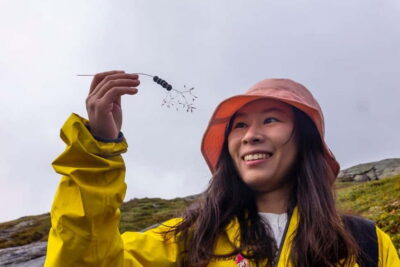 Kjerag Summer Hike with Packed Lunch