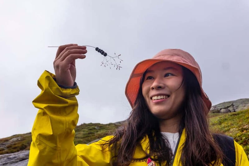 Stavanger: Kjerag Summer Hike with Packed Lunch - The three-hour ride from Stavanger