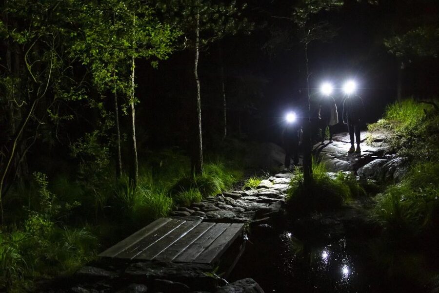 Stavanger: Preikestolen Sunrise Hike with Breakfast Buffet - Is $253 a fair price?