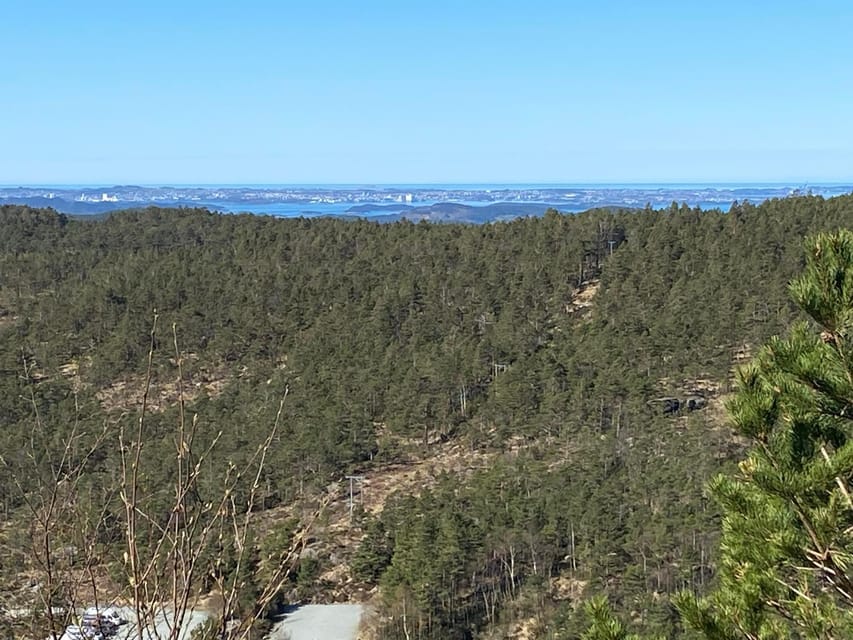 Stavanger: Preikestolen Tour with Guide and Pickup - Reaching the flat top of the cliff