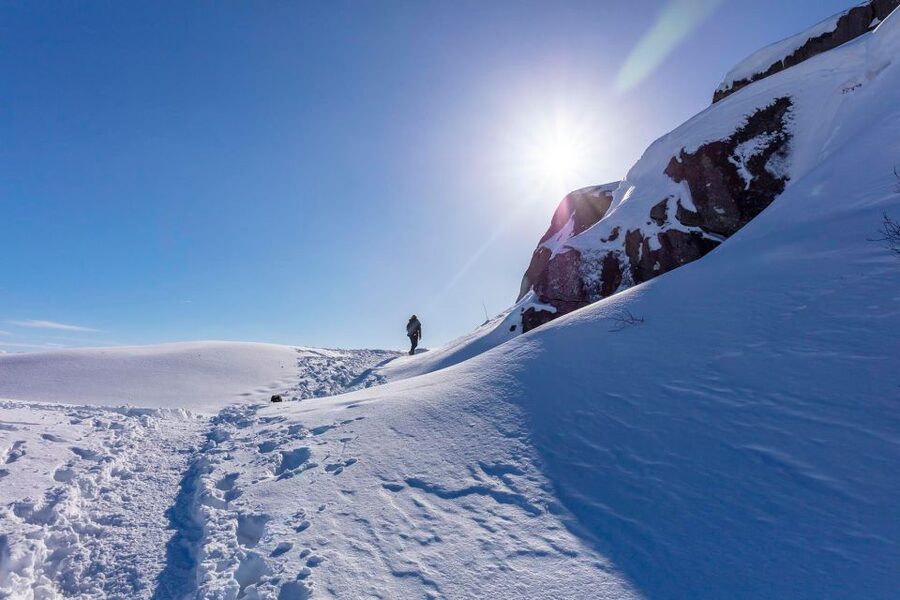 Stavanger: Preikestolen Winter Hike + Hot Lunch - What the $219 price really covers
