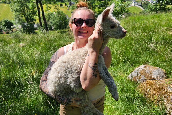 Steim Farm Experience in Vik, Norway - Why the small group matters
