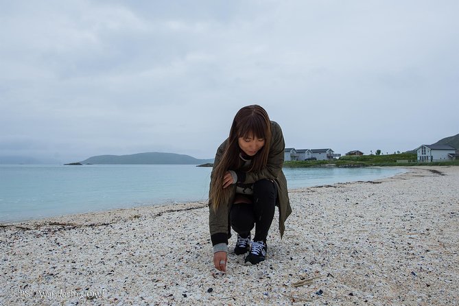 Summer Fjord Road Trip with Citizen Science with Wandering Owl - Citizen science gives the drive a purpose