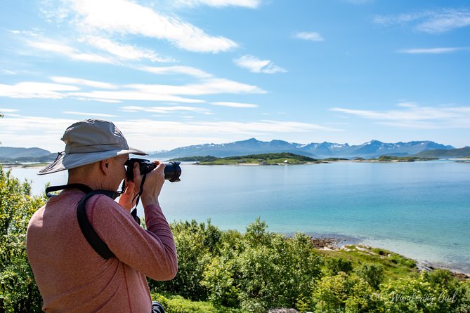 Summer Fjord Road Trip with Citizen Science with Wandering Owl - What the four-hour timing really means