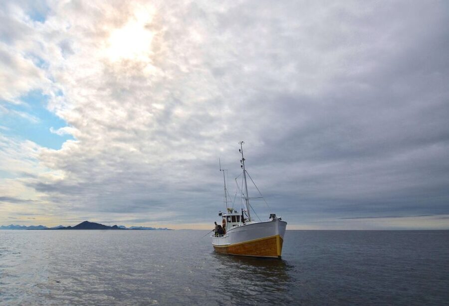 Svolvær: Fishing Trip on the Lofoten Sea - Key points at a glance