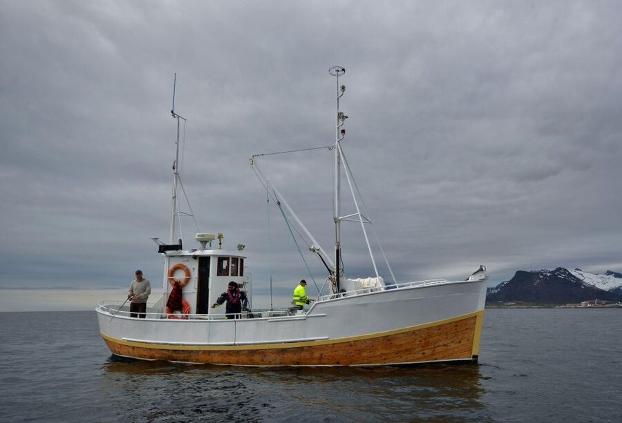 Svolvær: Fishing Trip on the Lofoten Sea - Finding fish in the Lofoten Sea
