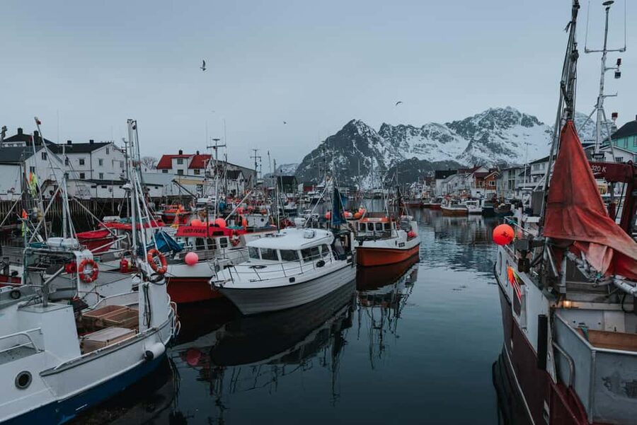 Svolvær: Lofoten Scenic Sightseeing Tour: Half day tour - Why this six-hour route works from Svolvær
