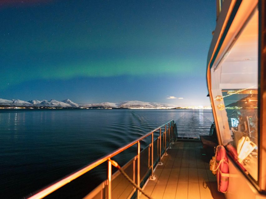 Svolvær: Northern Lights and Full Steam Cruise with Tasting - Key points to know before you book