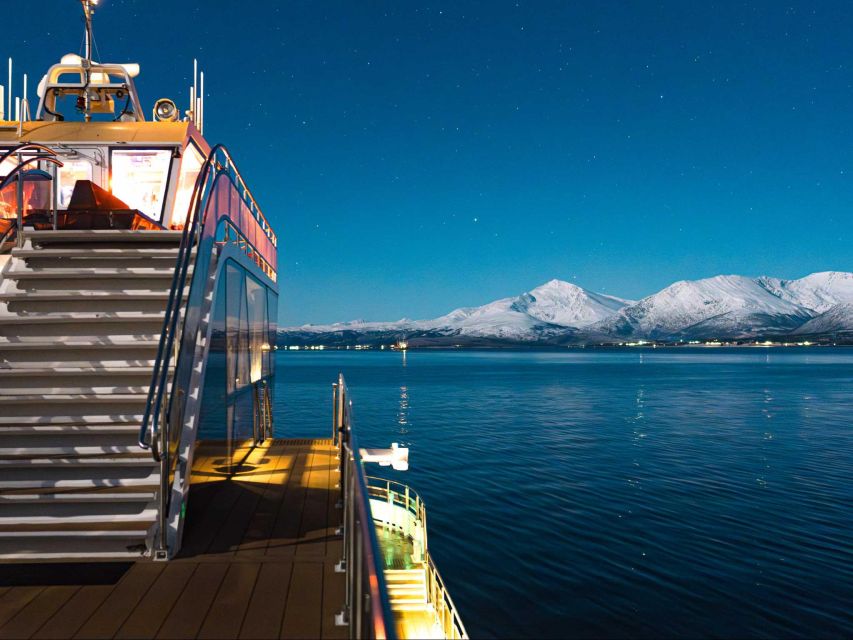 Svolvær: Northern Lights and Full Steam Cruise with Tasting - Sailing out of Svolvær after dark