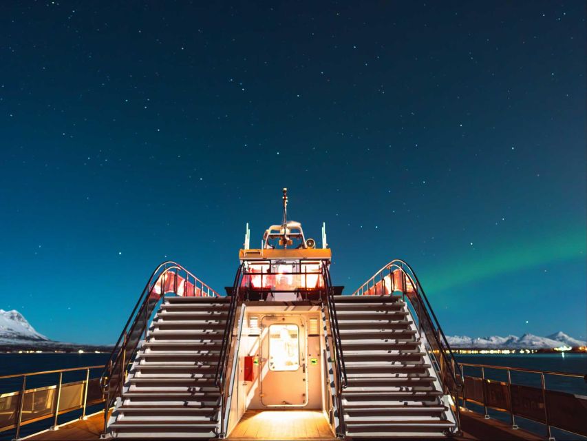 Svolvær: Northern Lights and Full Steam Cruise with Tasting - Norwegian caviar with a local story