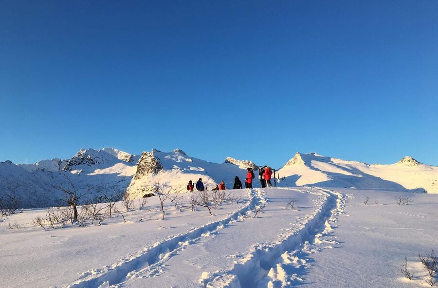 Svolvær: Snowshoe Nature Explorer - Starting beside Svolvær harbour