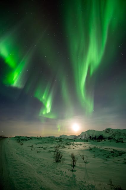 Svolvær: Ultimate Aurora Hunt - Who will enjoy it most