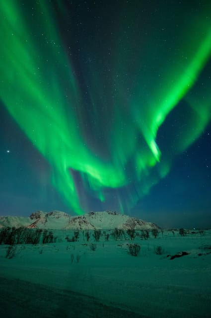 Svolvær: Ultimate Aurora Hunt - Best time in your trip to schedule it