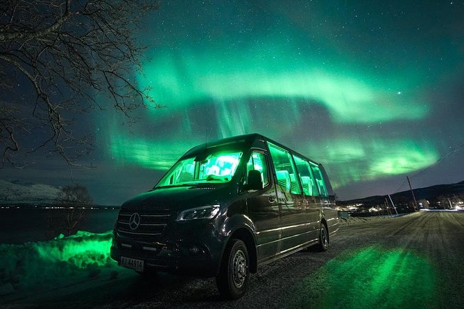 Symphony - Arctic Breeze, teamining up with nature. - Warm stops in a cold Arctic night