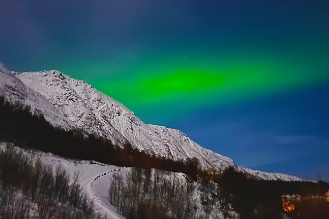 The Aurora Tour - small group, northern lights - Fire, Marshmallows, and Hot Drinks