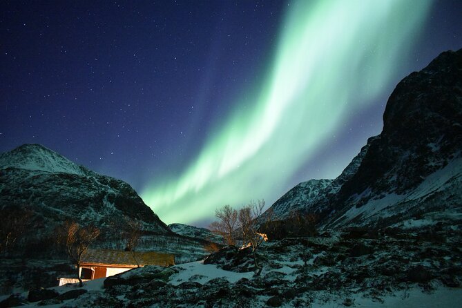 The Aurora Tour - small group, northern lights - Guides Set the Tone