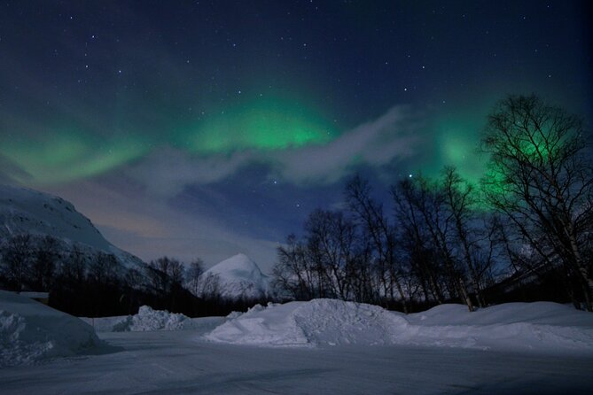 The Aurora Tour - VIP trip for northern lights, aurora borealis - Chasing the lights from Tromsø at 7 pm