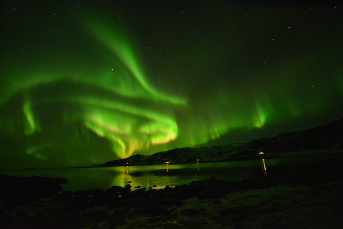 The Aurora Tour - VIP trip for northern lights, aurora borealis - Campfire food, wine, and Arctic warmth