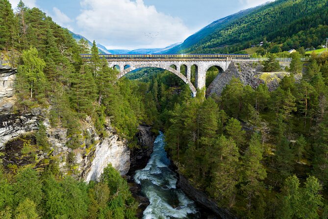The Golden Train on Rauma Railway in Romsdalen - Key points to know before you book