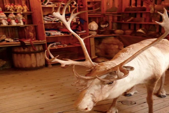 The North Cape, Reindeer and Sami Families Tour - Cruise ship timing and the return trip
