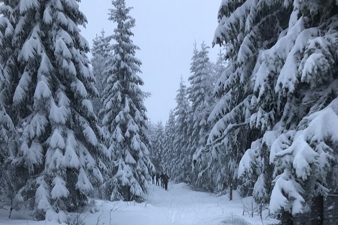 The Ultimate Norwegian Skiing Experience - Practical details before you book