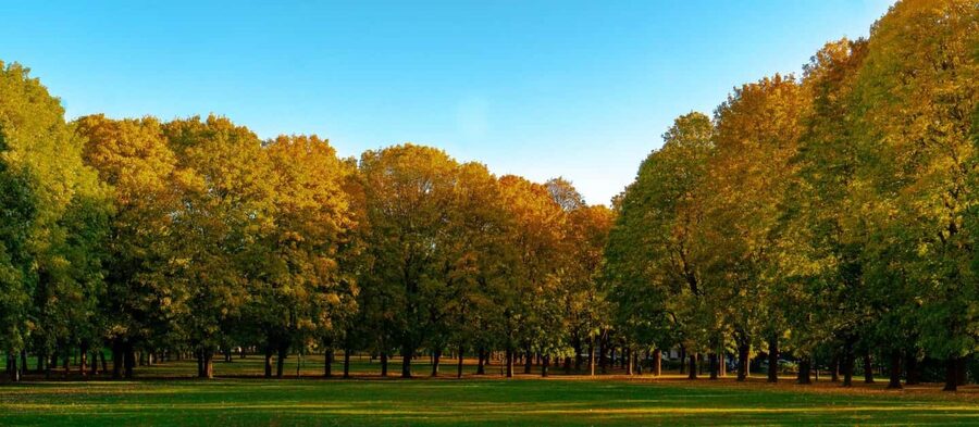 The Vigeland Park in Oslo: Insta-Perfect Walk with a Local - Who will enjoy this walk most?