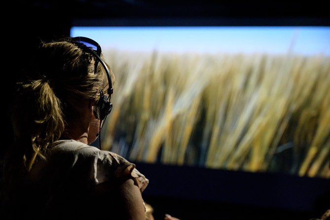 The Viking Planet Museum Ticket - Family appeal, staff, and the selfie station
