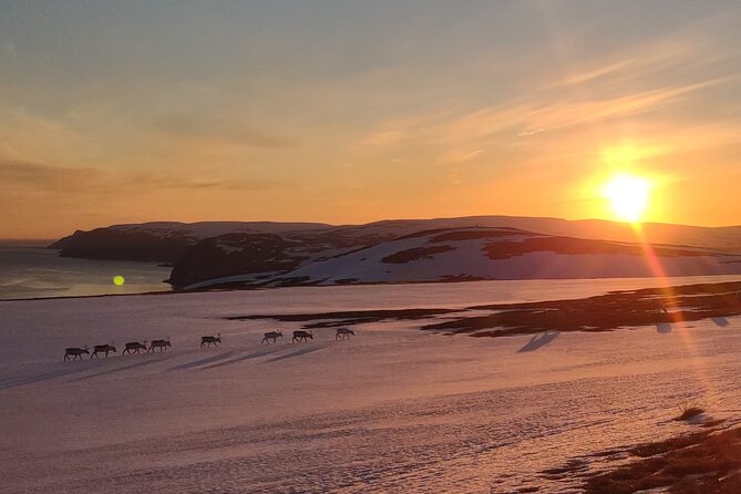 The VIP North Cape Tour - Leaving Honningsvåg for Arctic fishing country