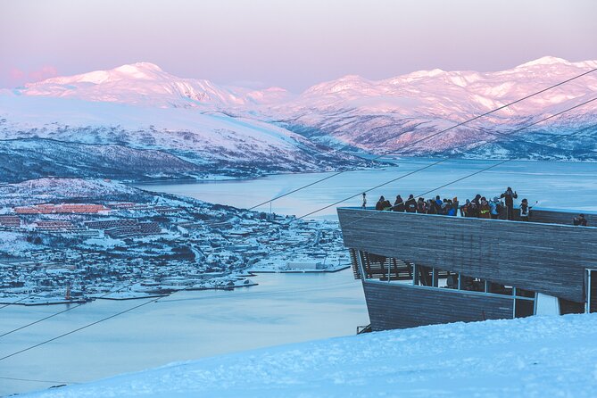 Tour of the authentic fjords of Kvaløya - Snowy roads, reindeer, and the value of a good driver