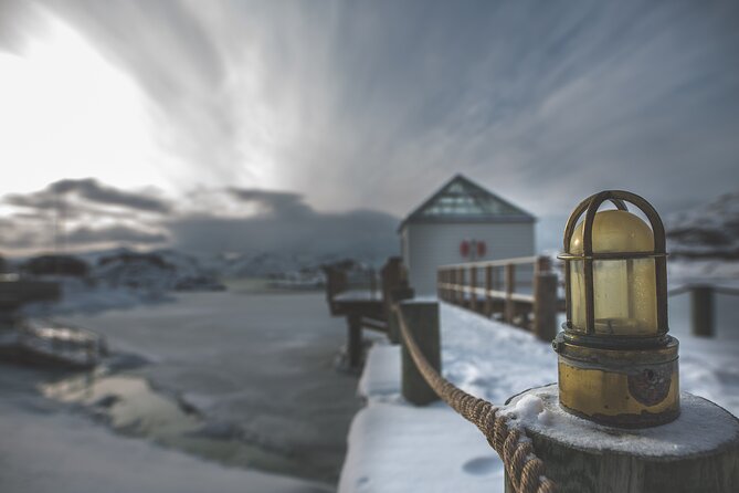 Tour of the authentic fjords of Kvaløya - What the guides add to the drive