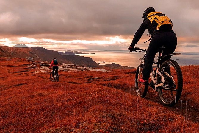 Trail challenge with electric mountainbike - From Bodø harbor to the first easy paths