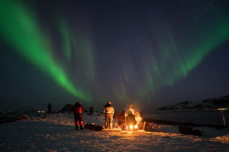 Tromsø: Adult Only Aurora hunt with Citizen Science - Leaving Tromsø for darker Arctic skies