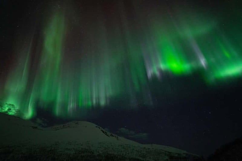 Tromsø: Adult Only Aurora hunt with Citizen Science - The Northern Lights are never guaranteed